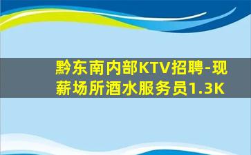 黔东南内部KTV招聘-现薪场所酒水服务员1.3K